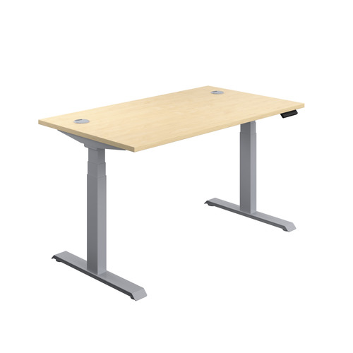 Economy Sit Stand Desk (FSC)