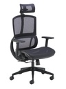 Alto Ergonomic Office Chair