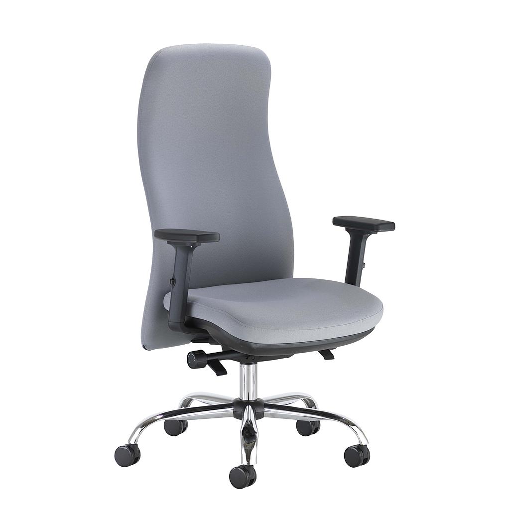 Ergonomic Posture, Seat Slide, Synchro Mech, Chrome Base And Gas Lift, Grey Bondai Fabric 8078, 2D Arms